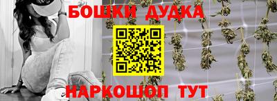 прущие грибы Новозыбков
