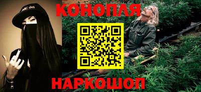 прущие грибы Новозыбков