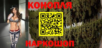 тгк Новокубанск