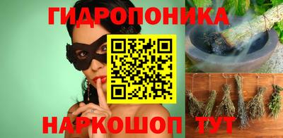 прущие грибы Новозыбков
