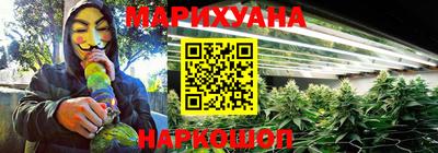 прущие грибы Новозыбков