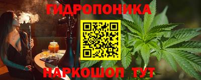 прущие грибы Новозыбков