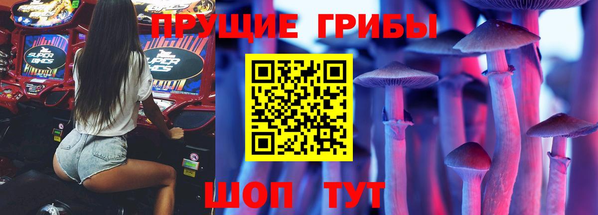 Заринск  Галлюциногенные грибы Cubensis  Вход с VPN 